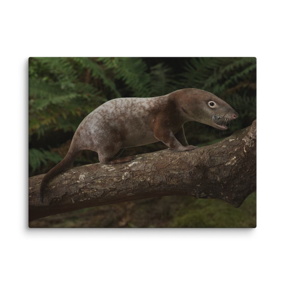 Morganucodon canvas