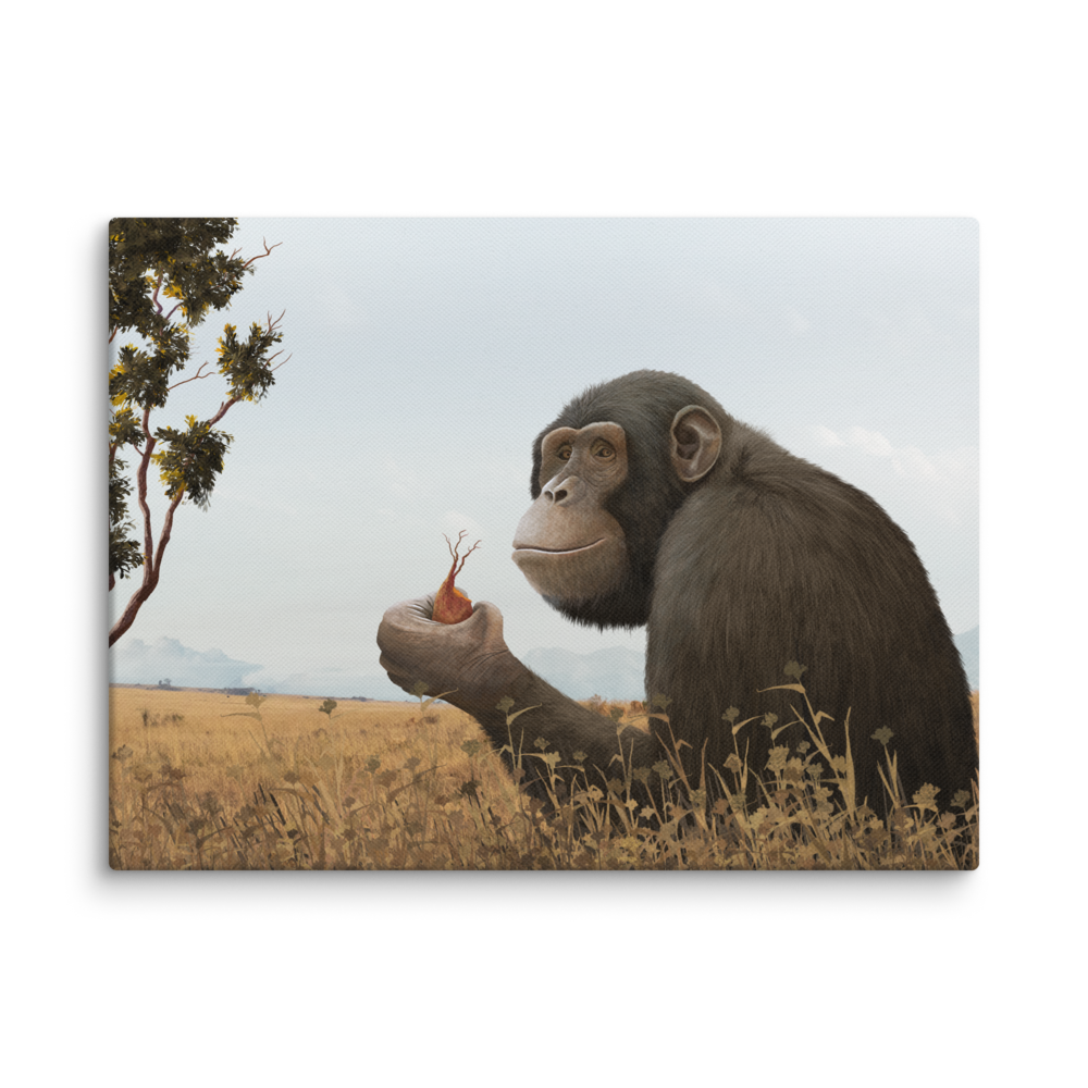 Ouranopithecus canvas
