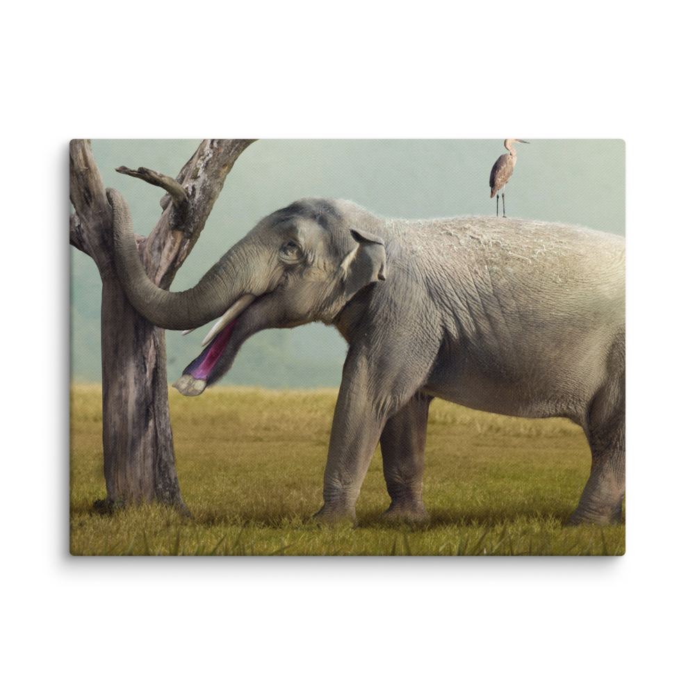 Platybelodon grangeri canvas