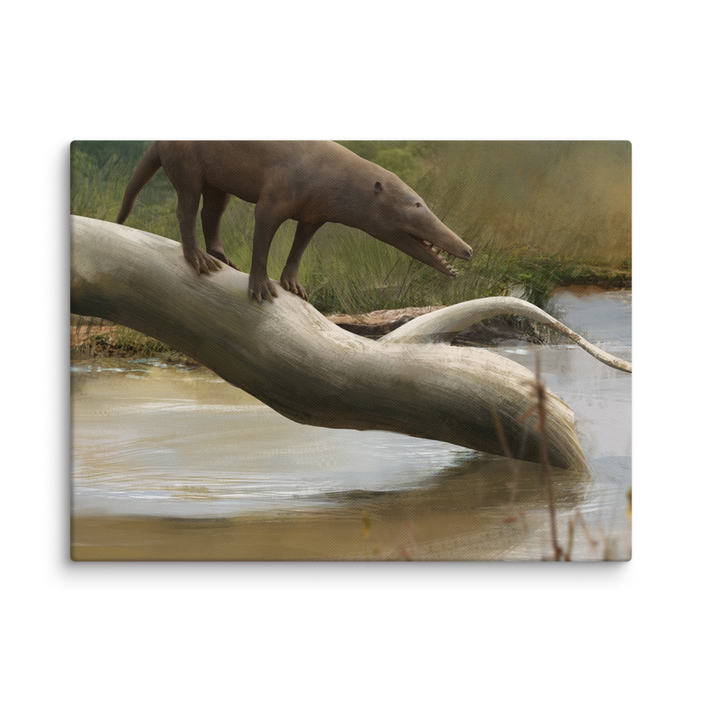 Pakicetus sp. — Canvas 12×16