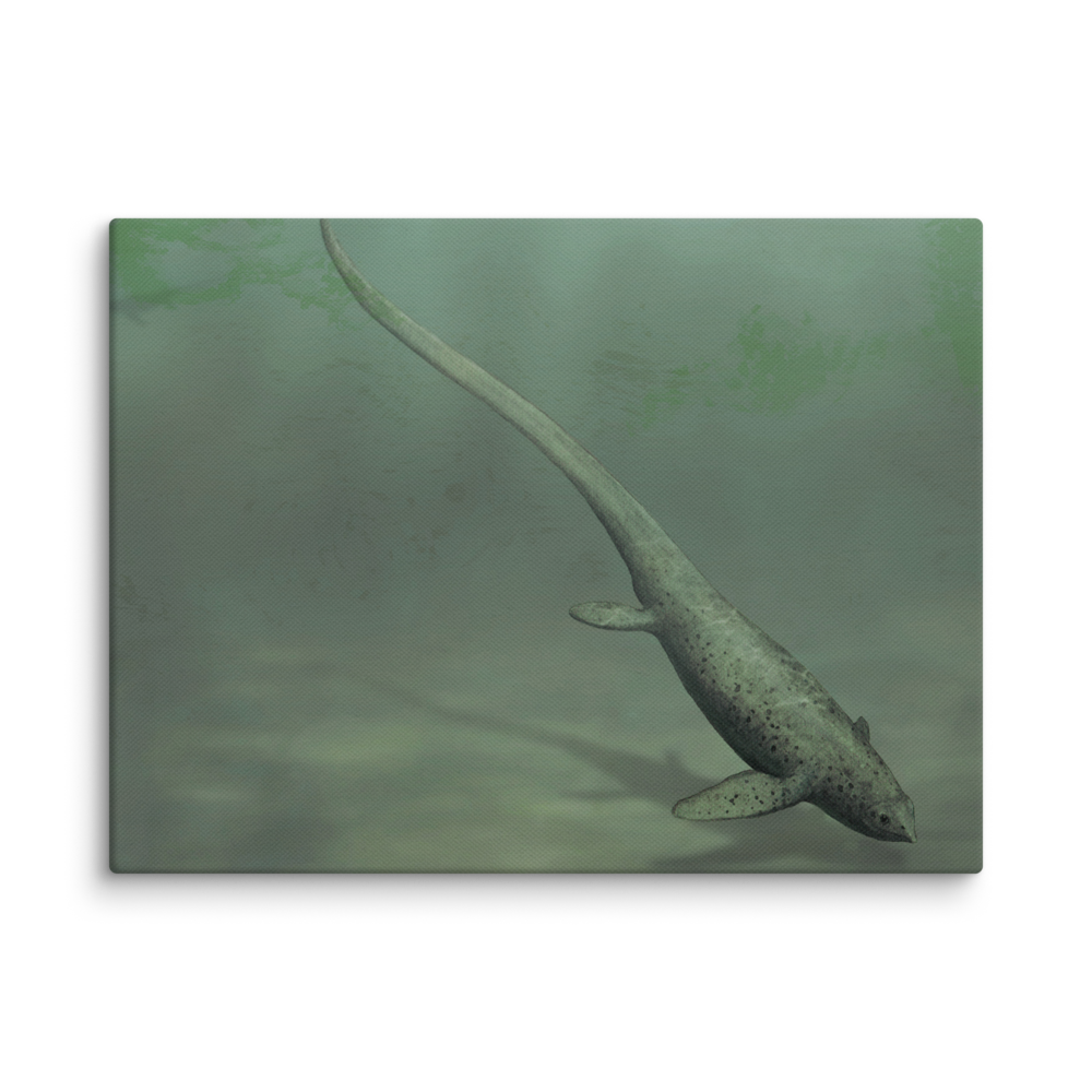 Sclerocormus parviceps canvas