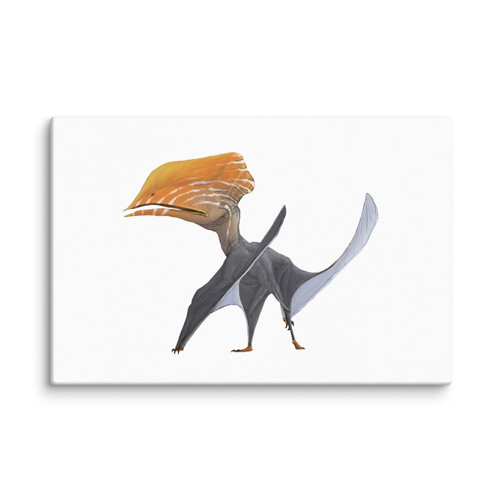 Caupedactylus canvas