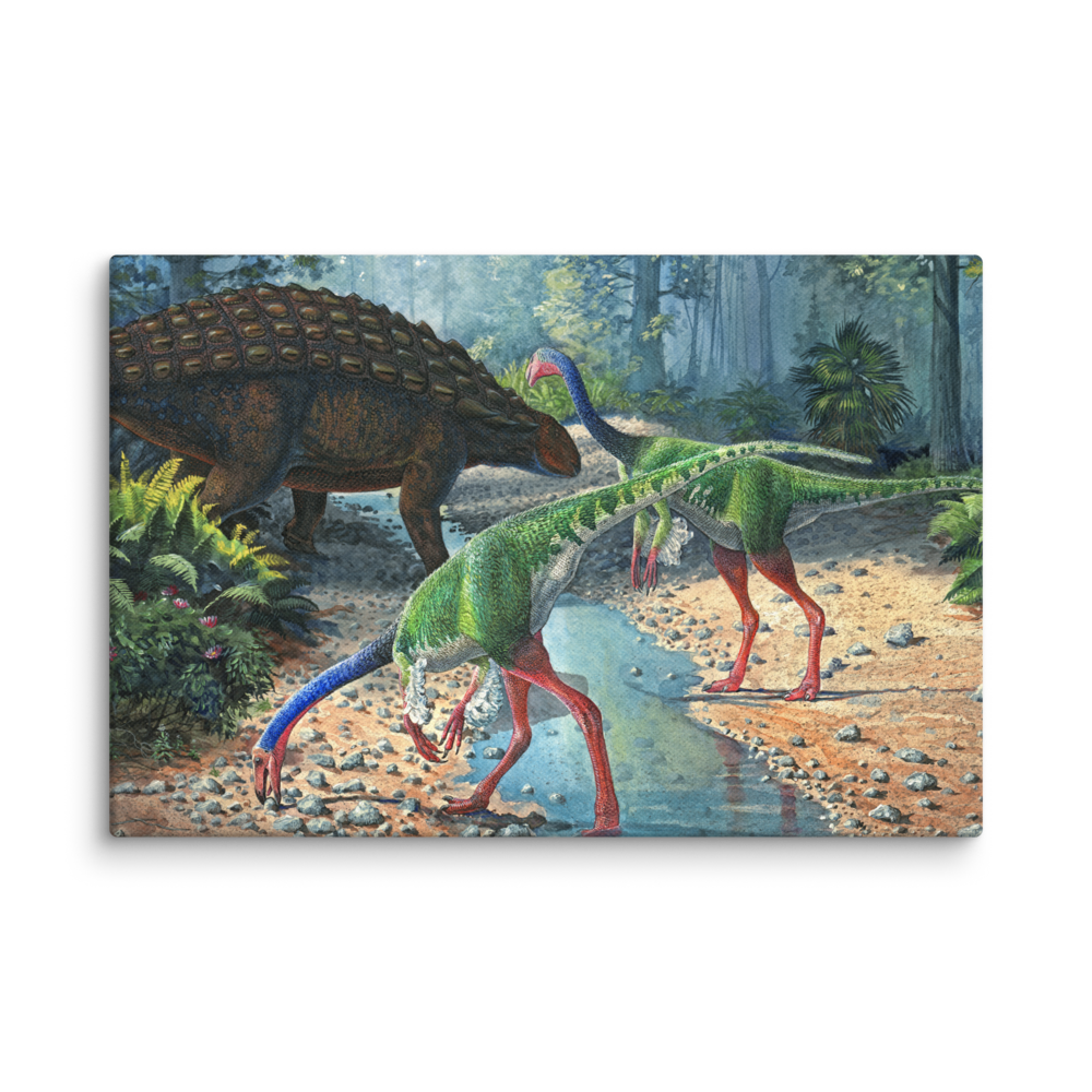 Ornithomimus and Panoplosaurus — Canvas 12×18