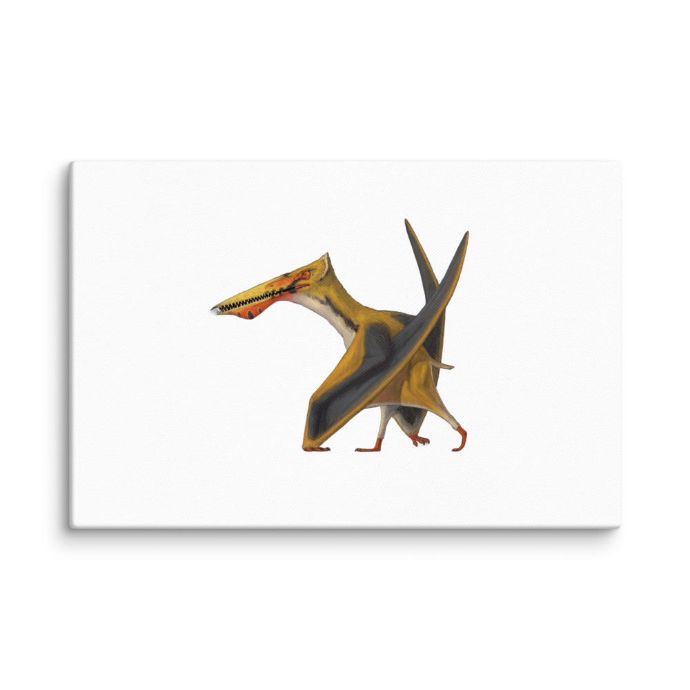 Ikrandraco Machaerorhynchus canvas
