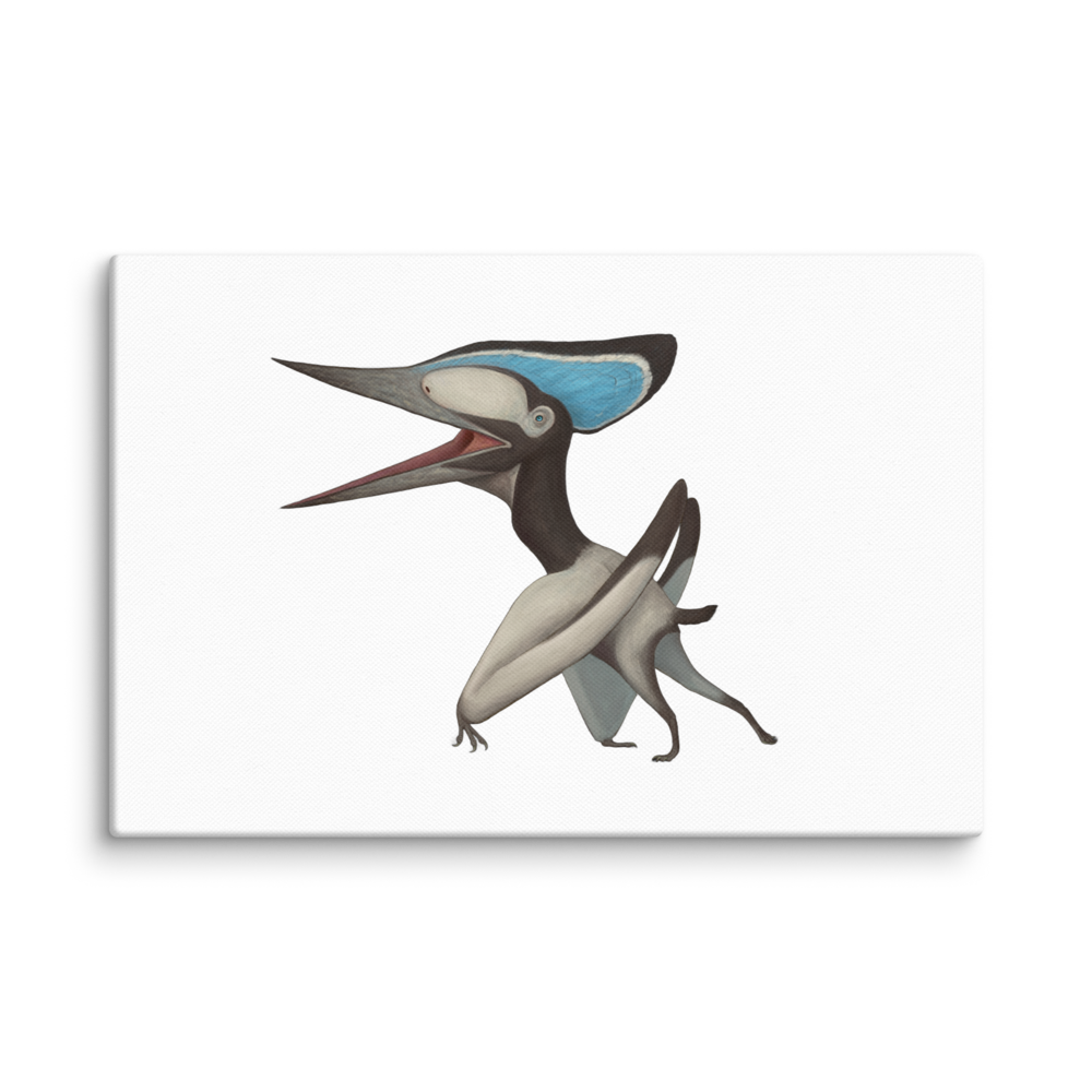 Tupuxuara longicristatus canvas