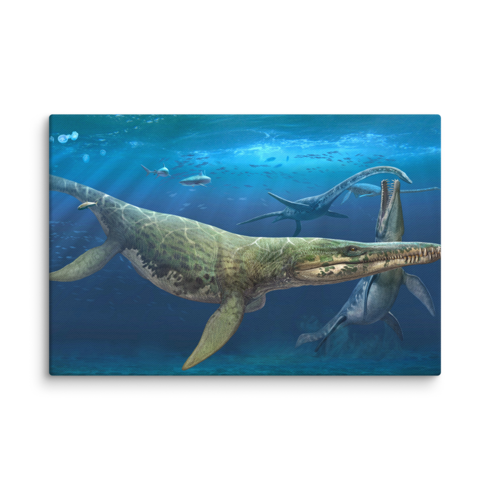 Kronosaurus queenslandicus canvas