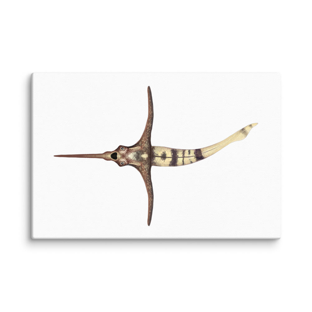 Lungmenshanaspis canvas