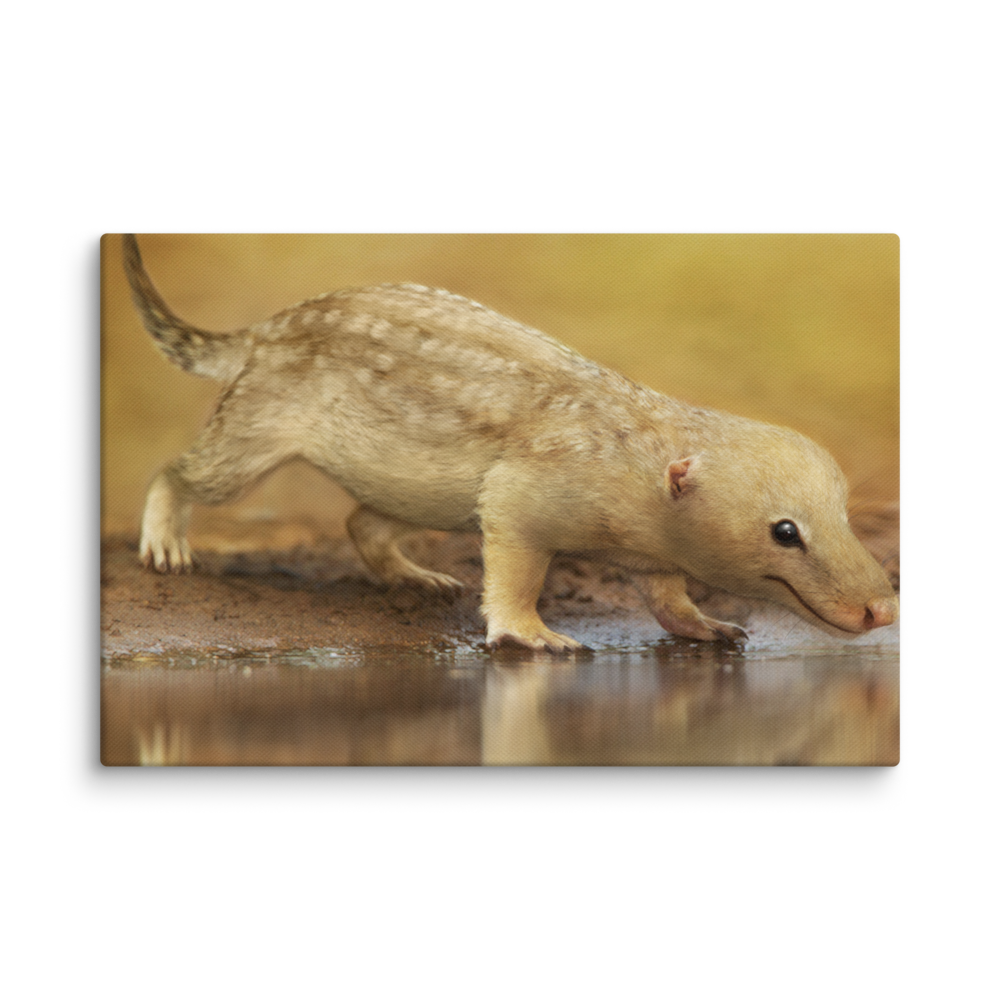 Bonacynodon schultzi canvas