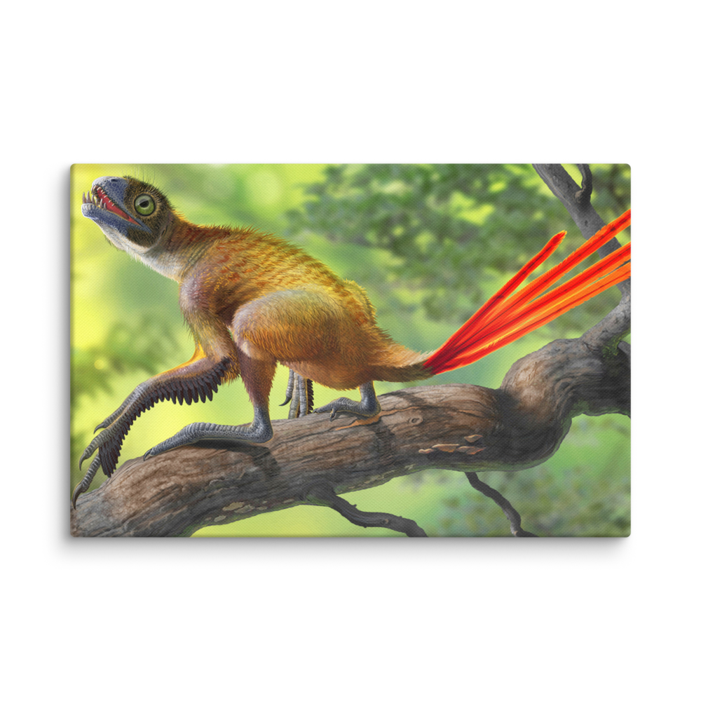 Epidexipteryx hui and Mongolarachne canvas