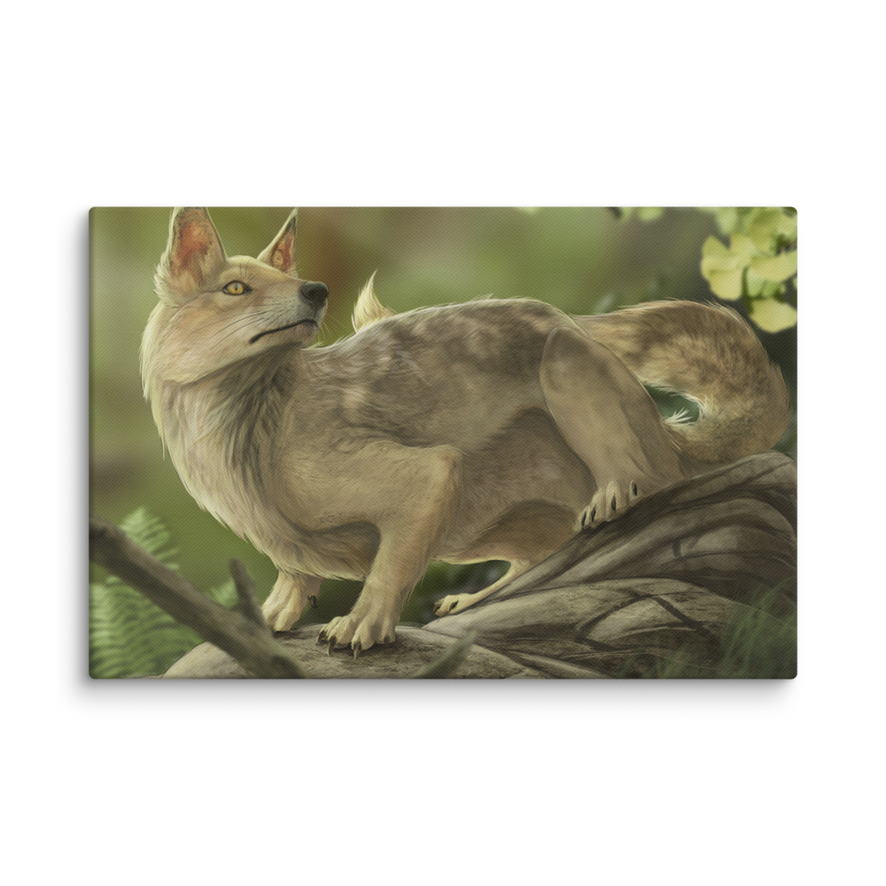 Hesperocyon sp. canvas