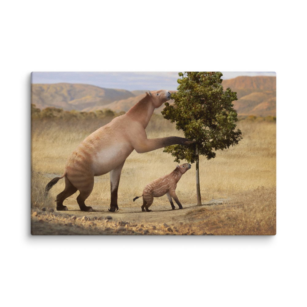 Chalicotherium sp. canvas