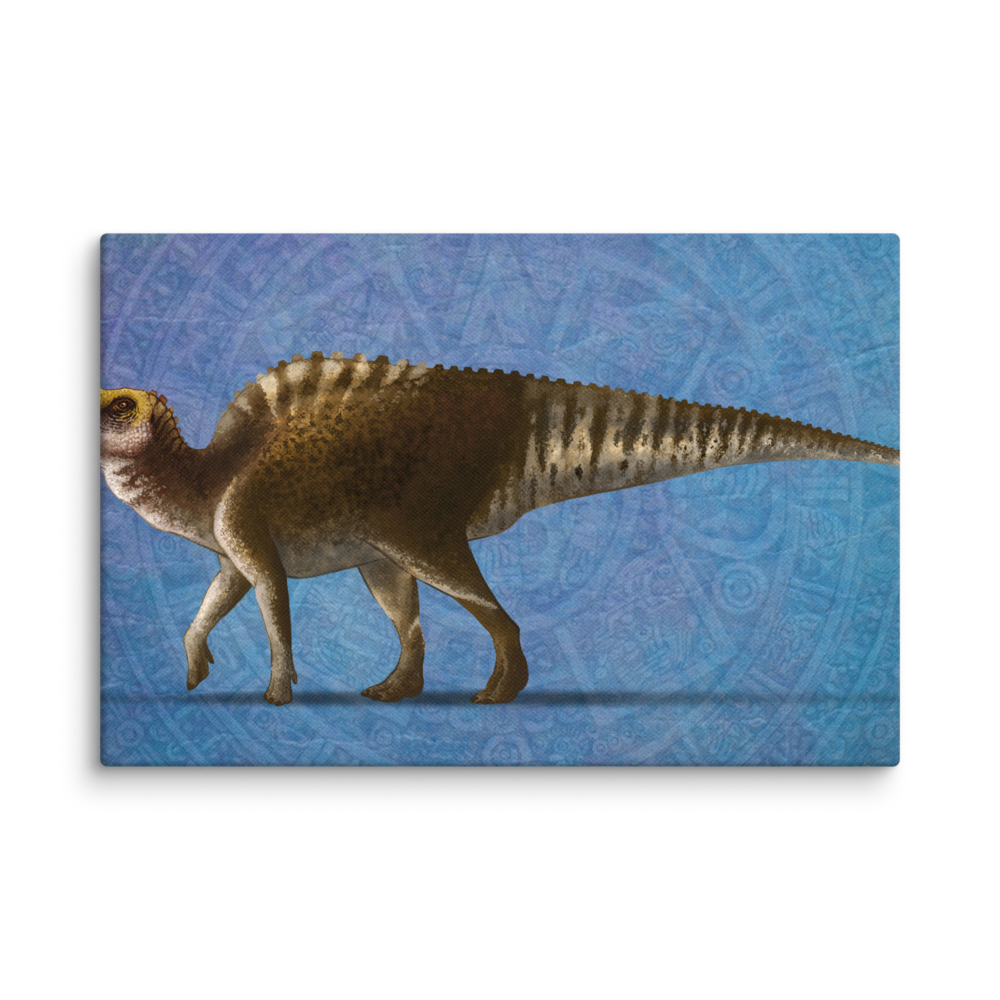 Latirhinus uitstlani — Canvas 12×18