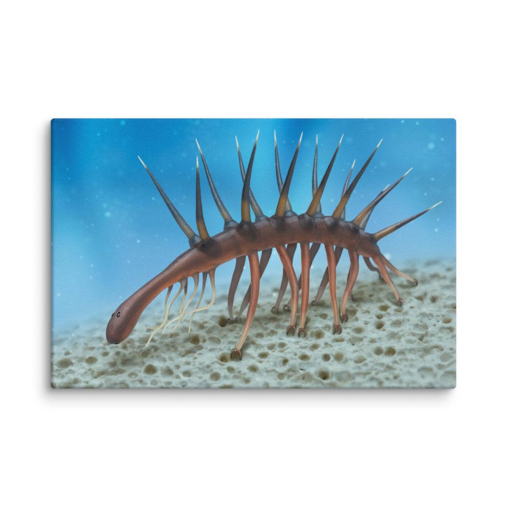 Hallucigenia sparsa — Canvas 12×18