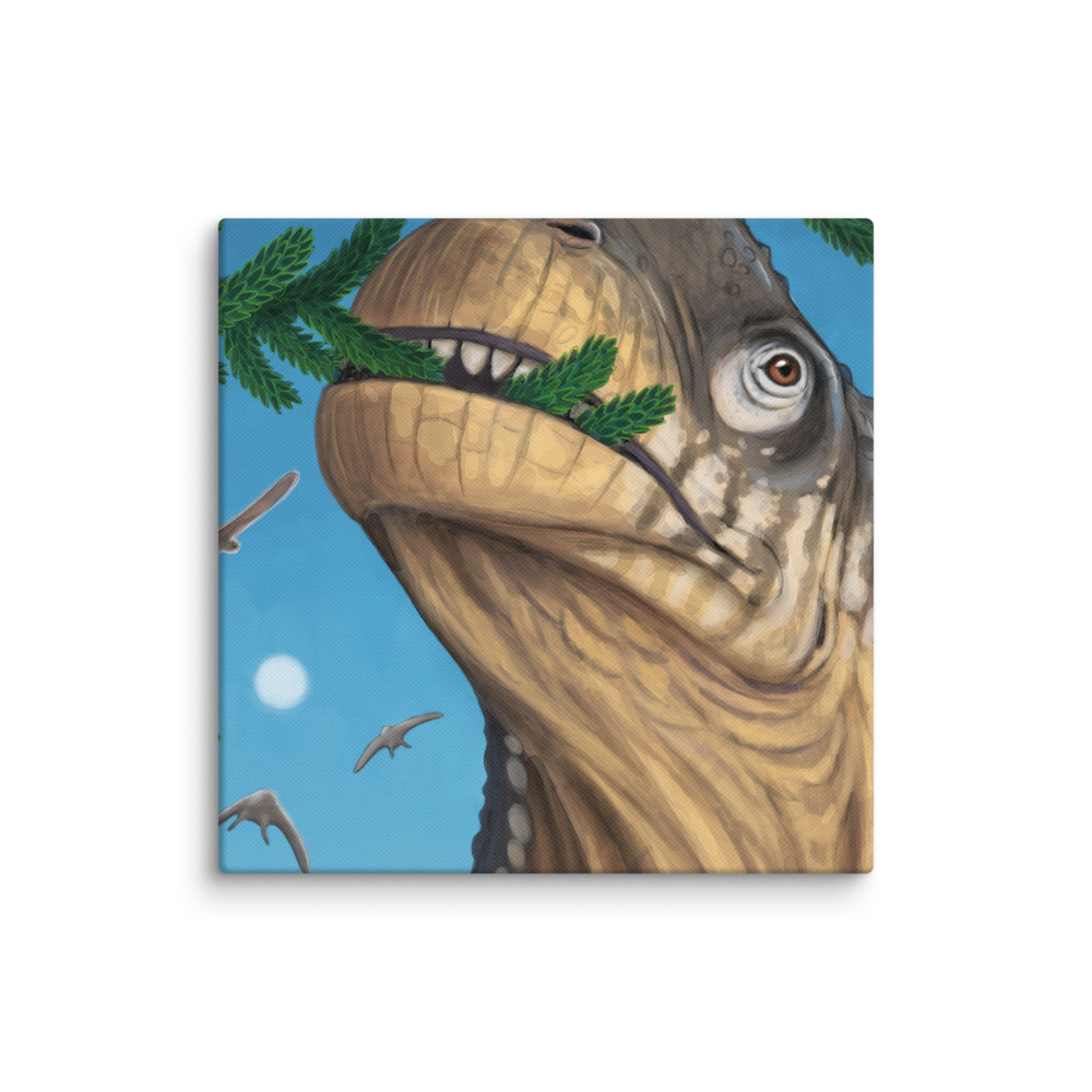 Camarasaurus Close-up — Canvas 16×16