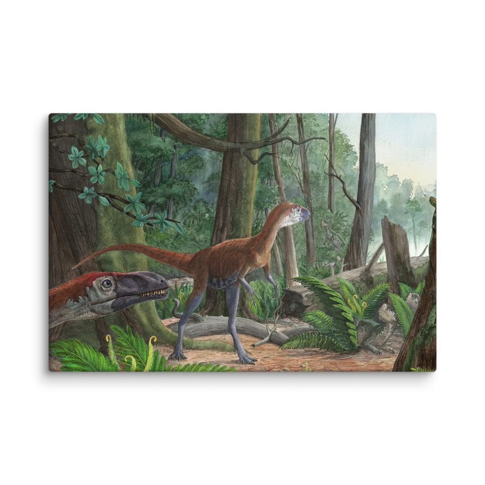 Dilong - Morning in the Chinese Forest — Canvas 16×24