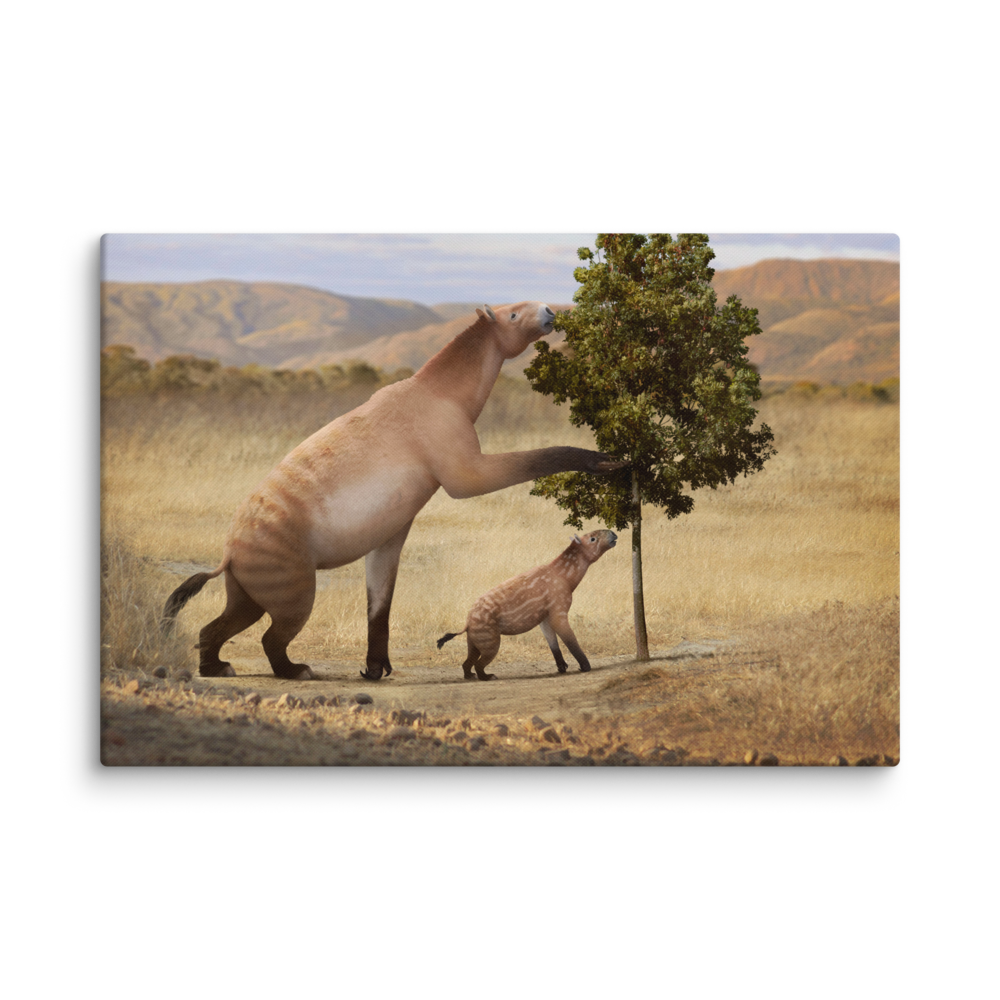 Chalicotherium sp. — Canvas 16×24