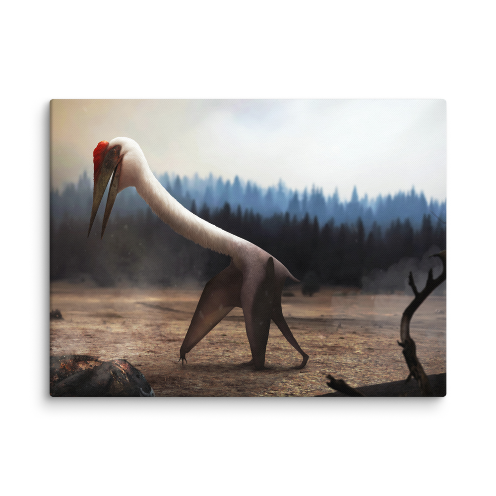Quetzalcoatlus northropi — Canvas 18×24