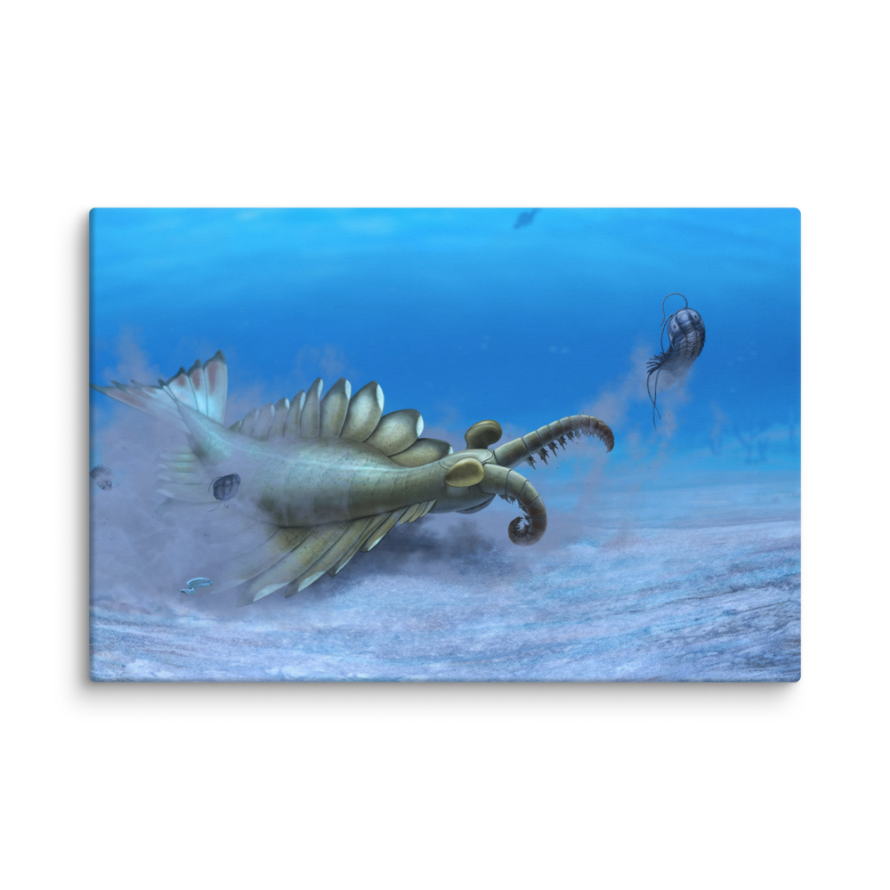 Anomalocaris sp. — Canvas 20×30