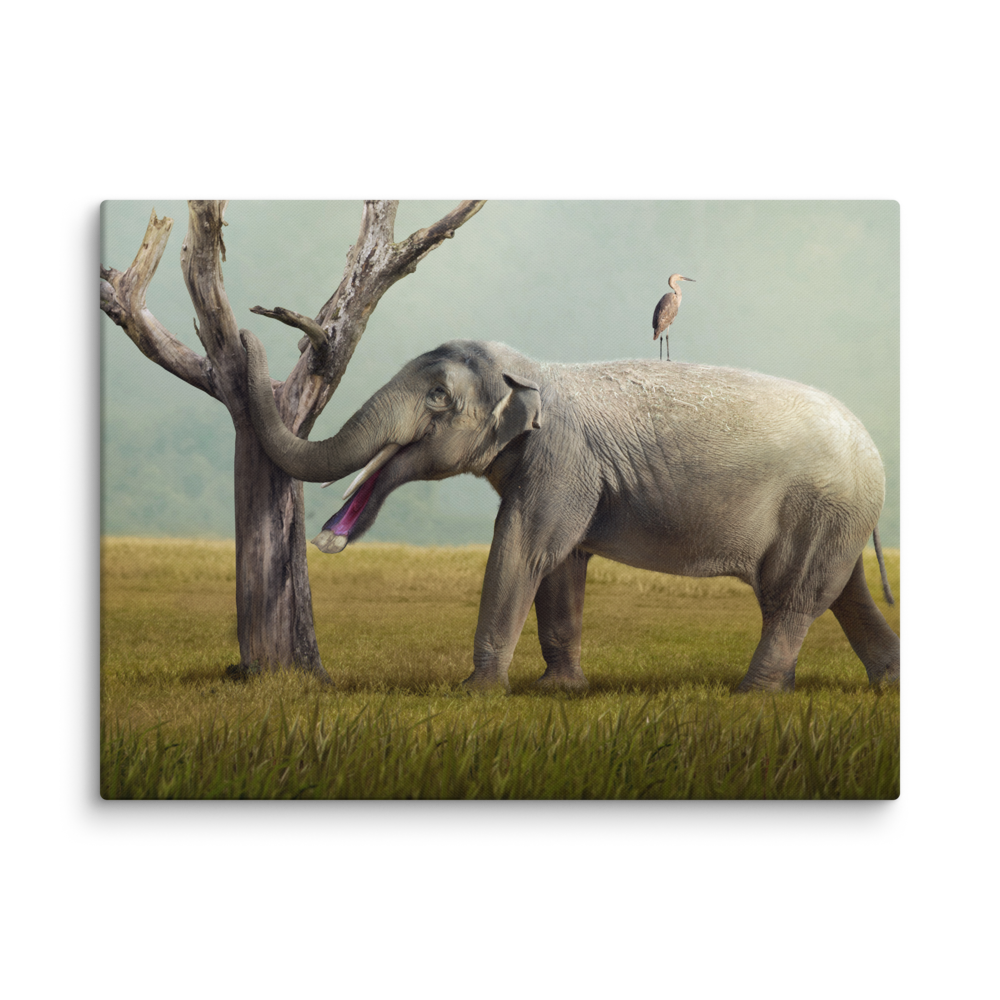Platybelodon grangeri — Canvas 24×32