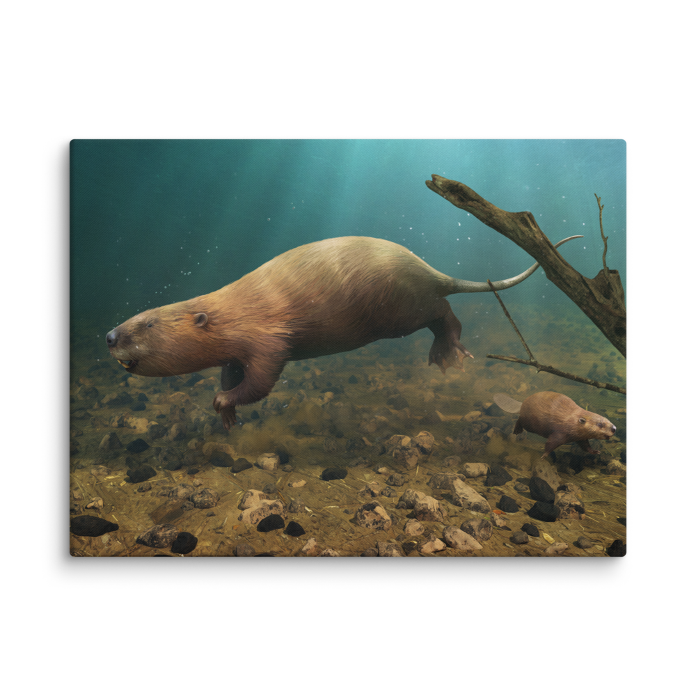 Castoroides — Canvas 24×32