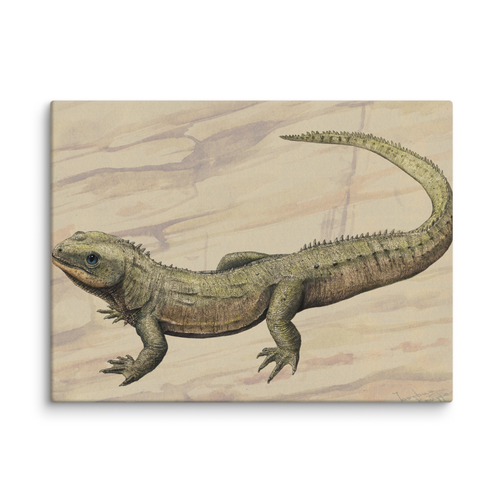 Oenosaurus muehlheimensis — Canvas 30×40
