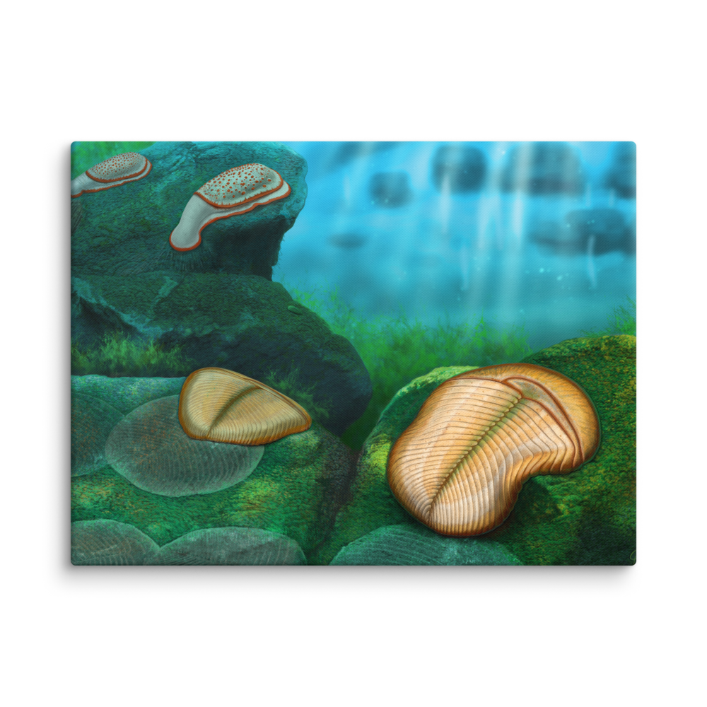 Yorgia and Kimberella — Canvas 30×40