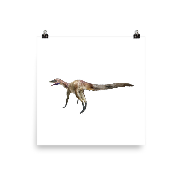 Dromomeron gigas — Poster 12×12
