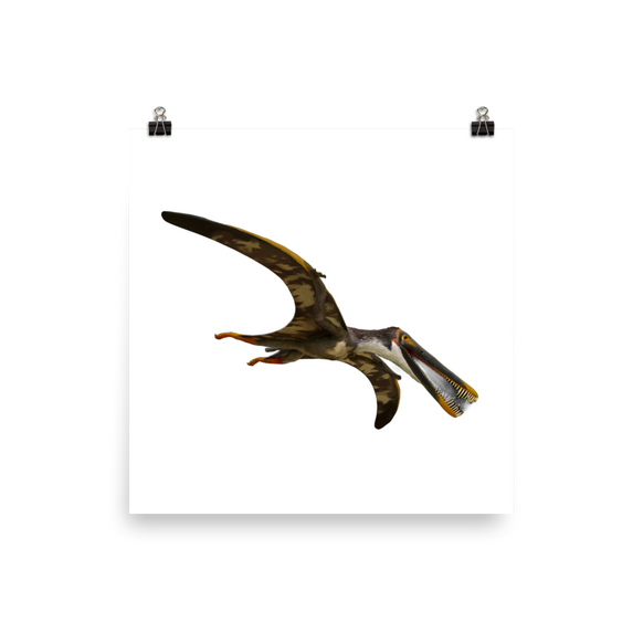 Boreopterus giganticus poster