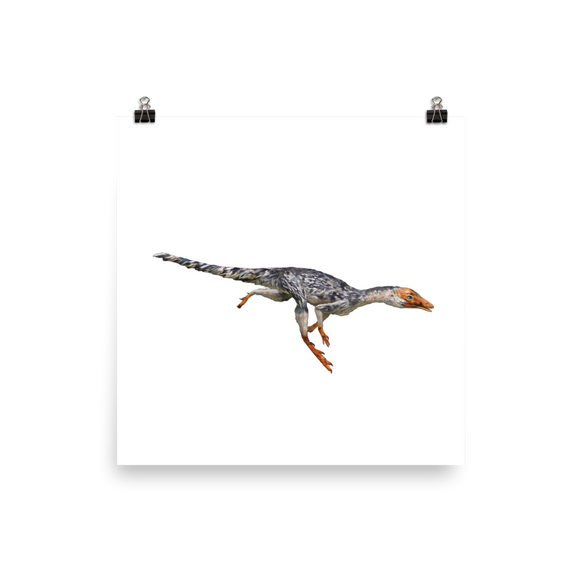 Ixalerpeton poster