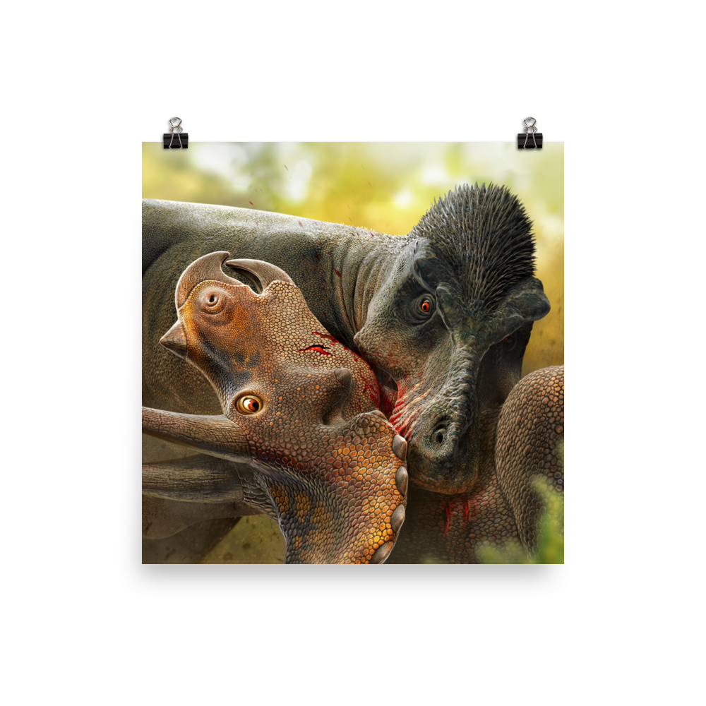 Tyrannosaurus Biting Triceratops — Poster 12×12