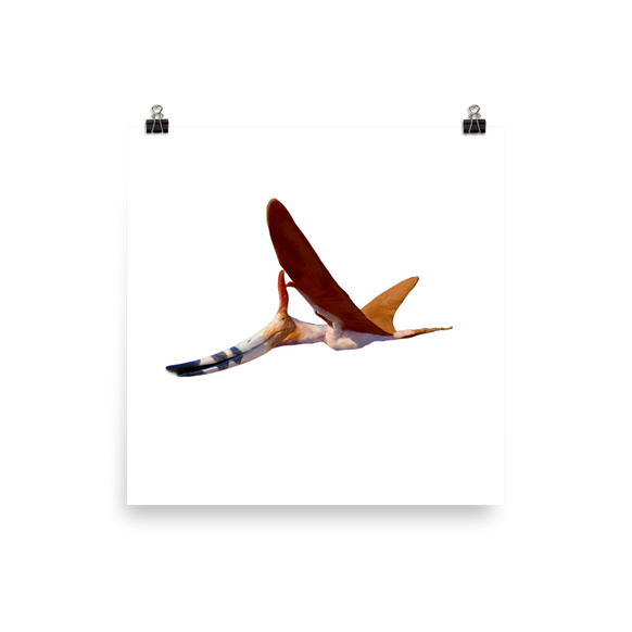 Dawndraco kanzai poster