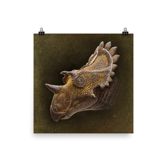 Regaliceratops poster