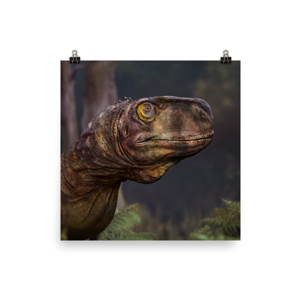 Llukalkan Head poster