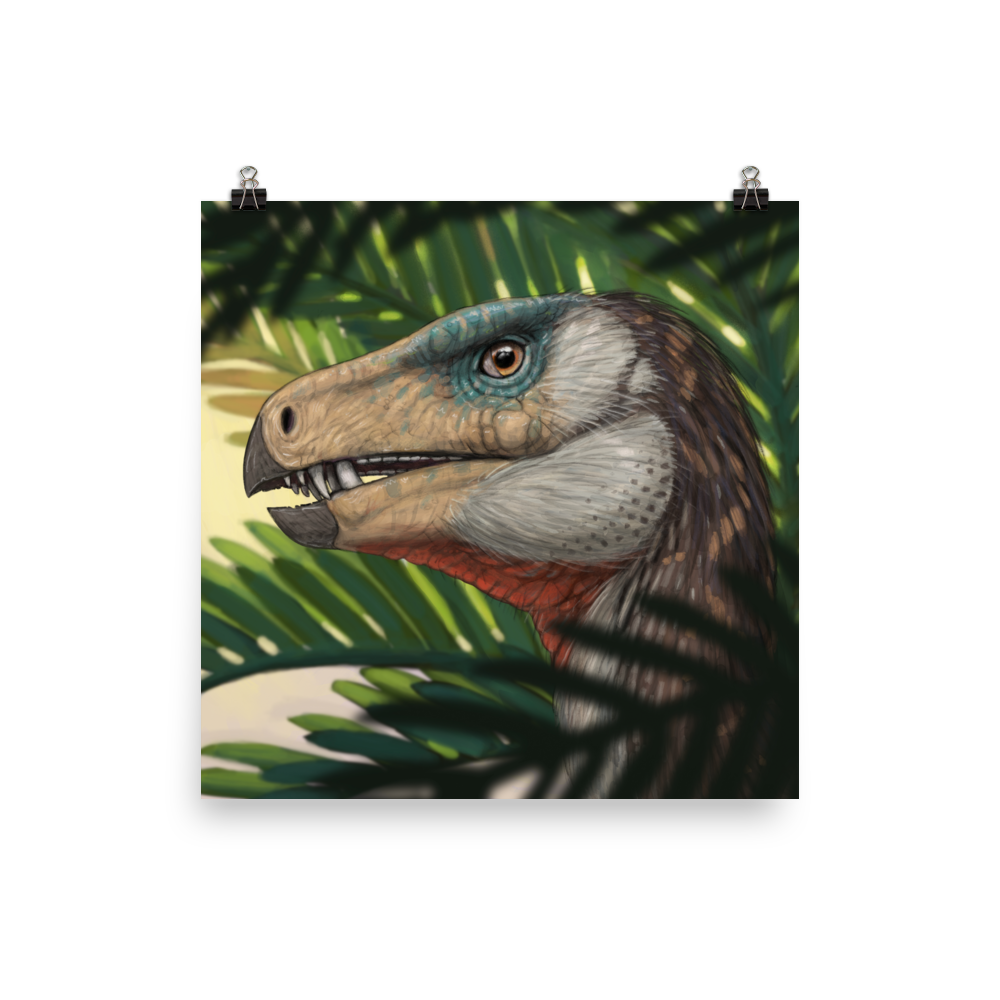 Heterodontosaurus — Poster 12×12