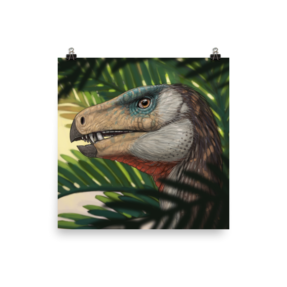 Heterodontosaurus — Poster 12×12
