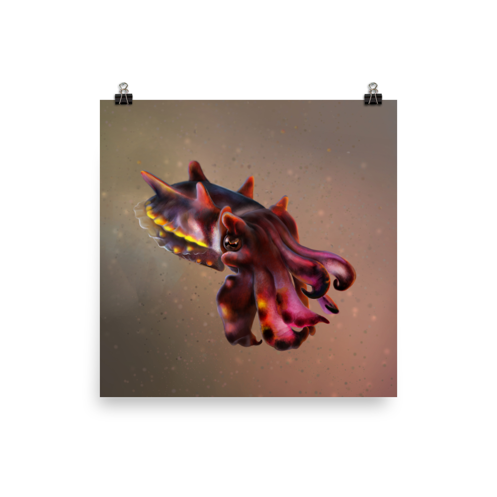 Metasepia pfefferi — Poster 12×12
