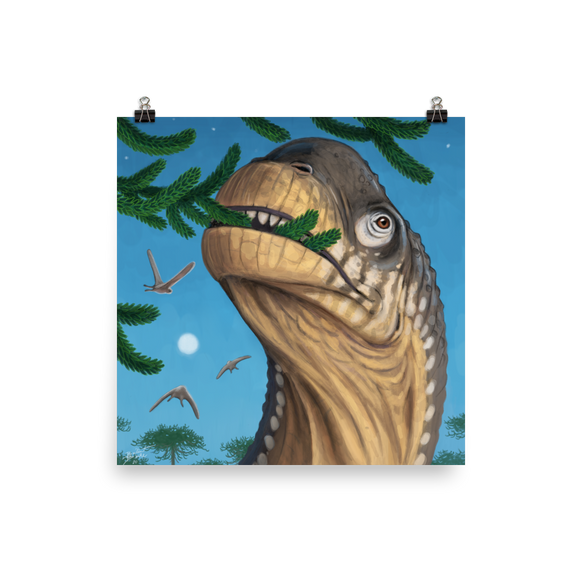 Camarasaurus Close-up — Poster 12×12
