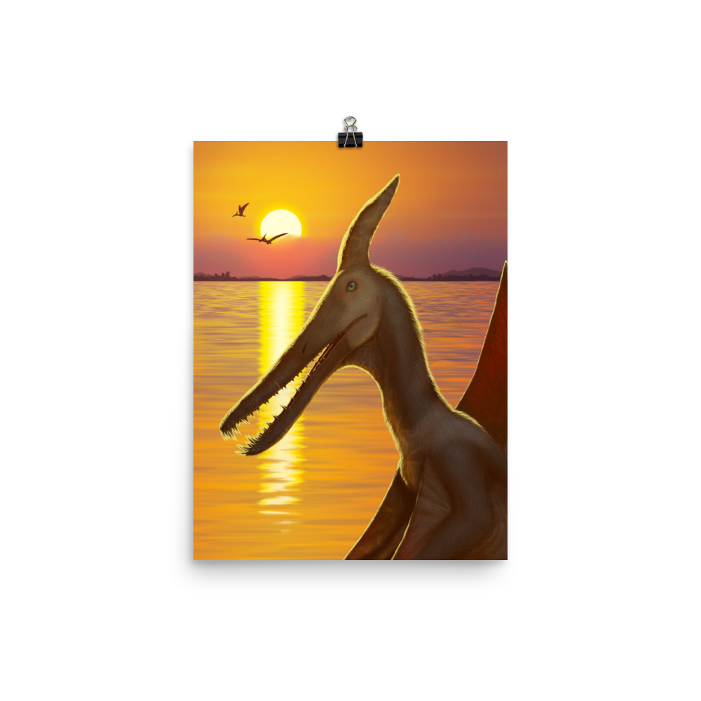 Ludodactylus Sunset — Poster 12×16