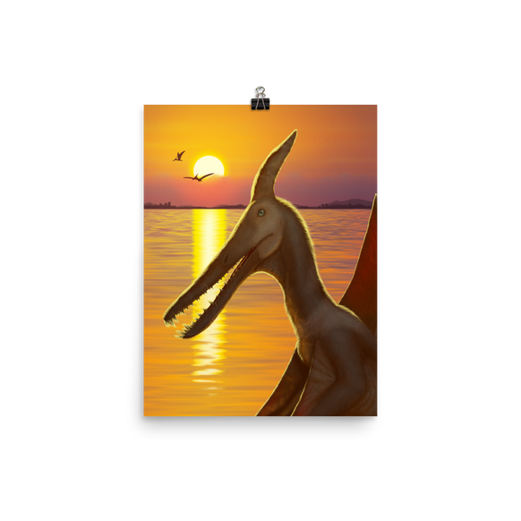 Ludodactylus Sunset — Poster 12×16