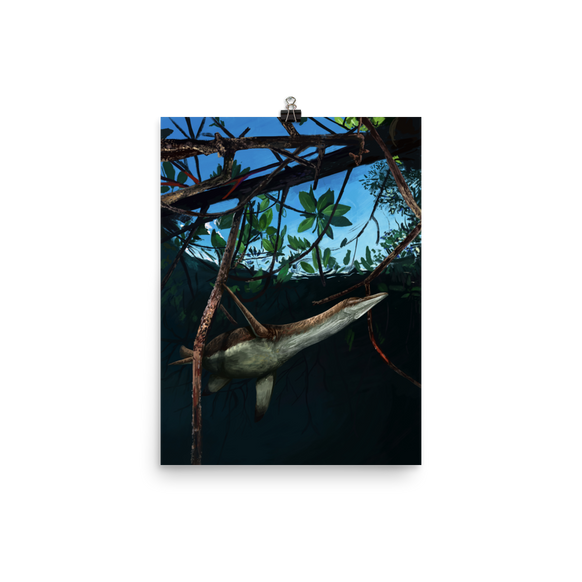 Thililua Among Mangroves — Poster 12×16