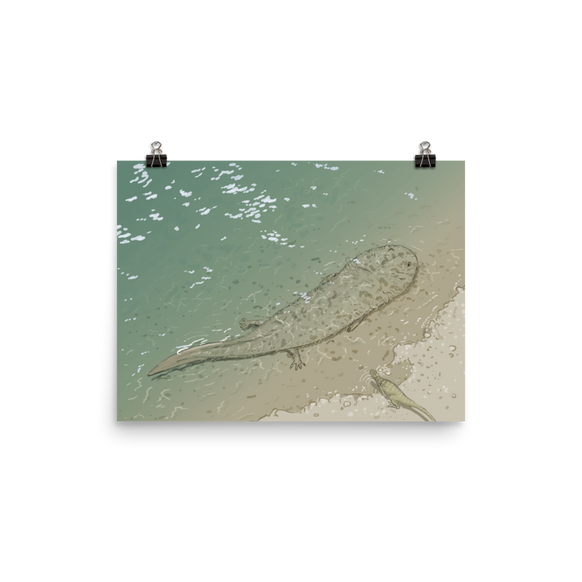 Koolasuchus poster