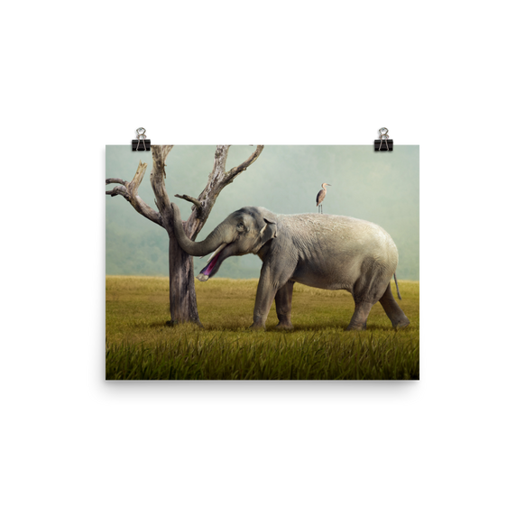 Platybelodon grangeri — Poster 12×16