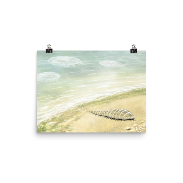 Euthycarcinoid, early land arthropod poster