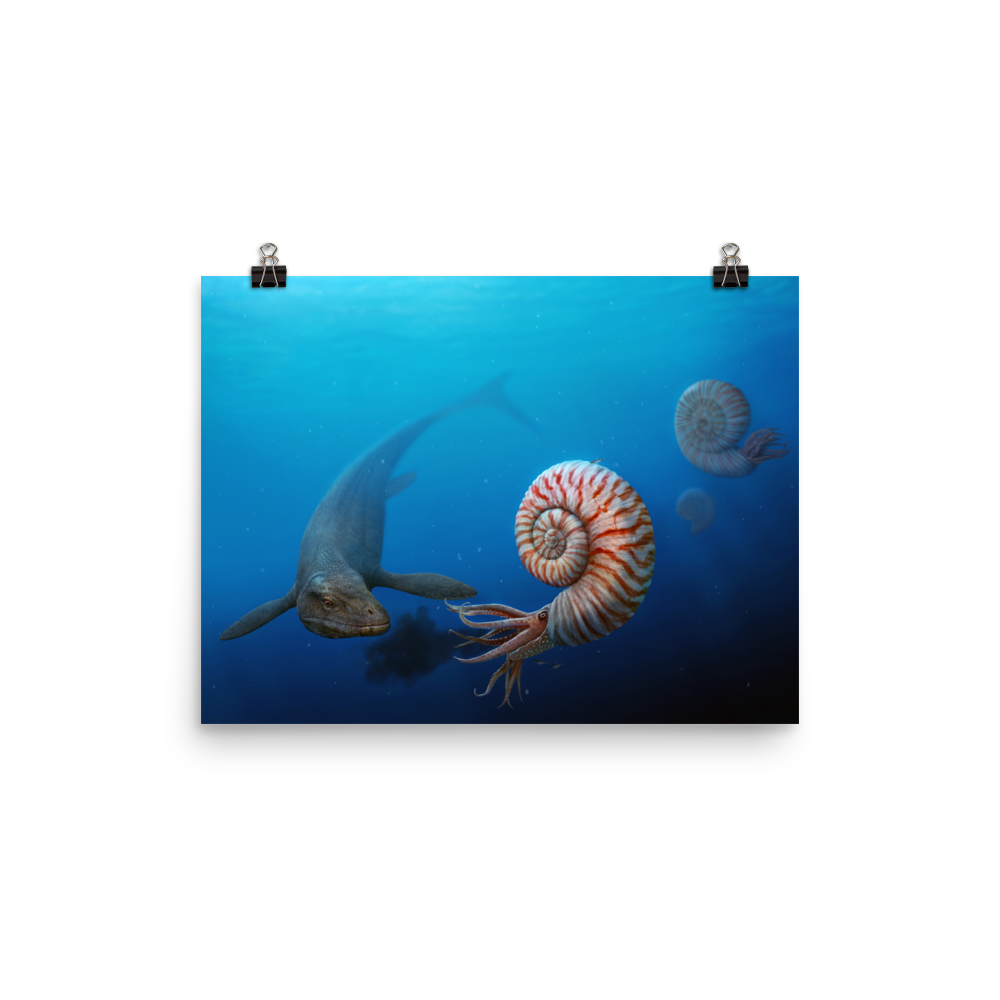 Parapuzosia vs Mosasaurus — Poster 12×16