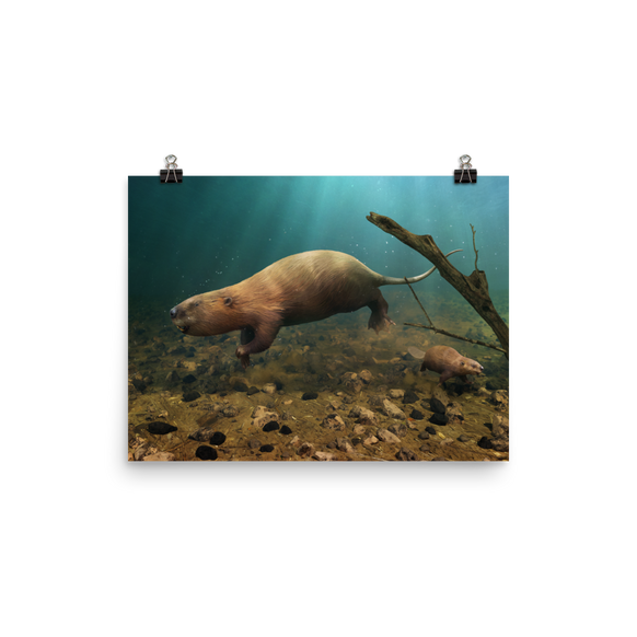 Castoroides — Poster 12×16