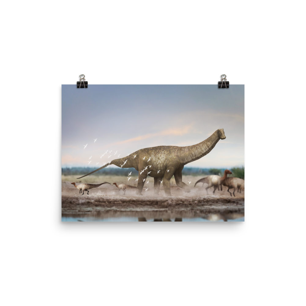 Austroposeidon magnificus — Poster 12×16