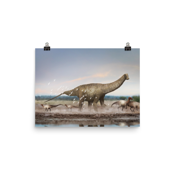 Austroposeidon magnificus — Poster 12×16