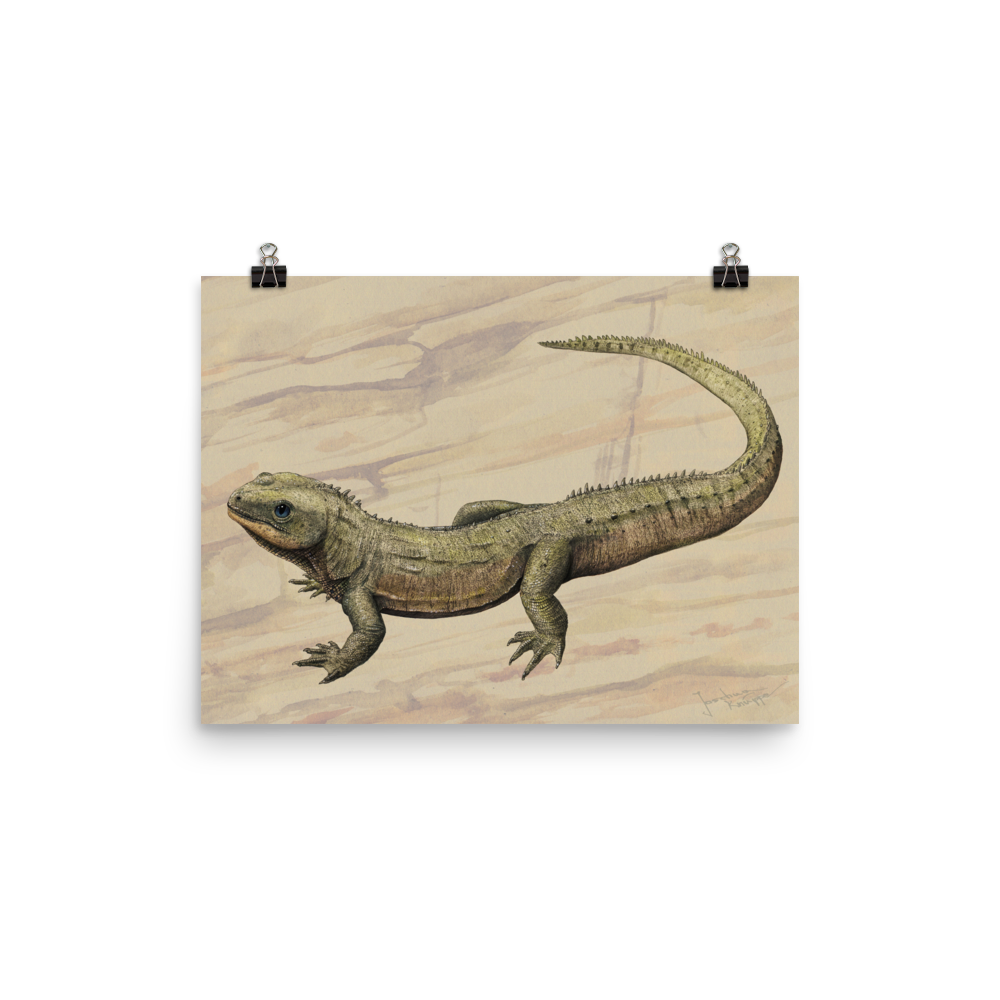 Oenosaurus muehlheimensis — Poster 12×16