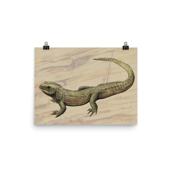 Oenosaurus muehlheimensis — Poster 12×16