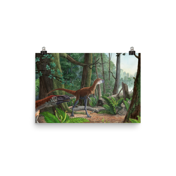 Dilong - Morning in the Chinese Forest poster